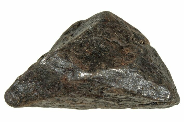 Canyon Diablo Iron Meteorite ( g) - Arizona #303494